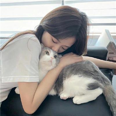 金殿之争