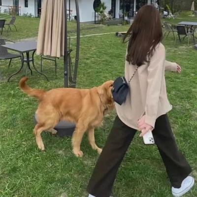 剧集版超能陆战队第一季